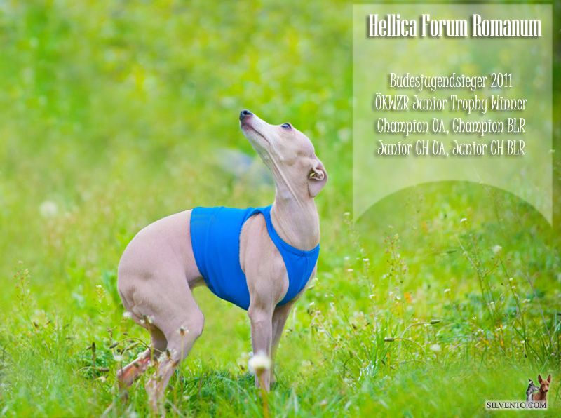 CH. Hellica Forum Romanum